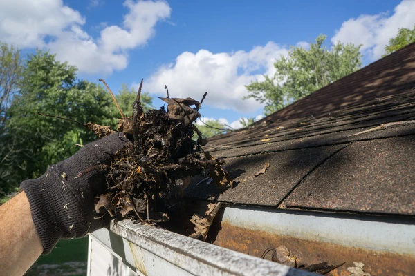 Gutter Cleaning Services